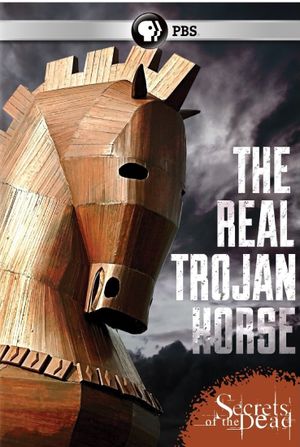 Secrets of the Dead: The Real Trojan Horse's poster