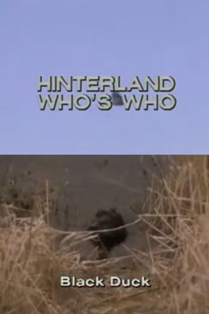 Hinterland Who's Who: Black Duck's poster