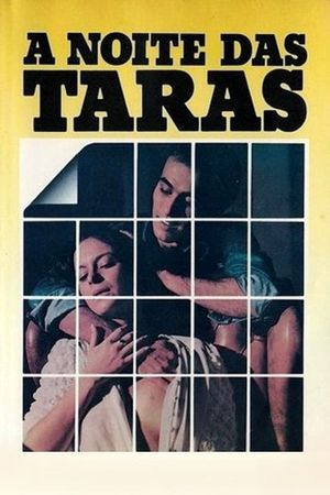 The Night at the Terrace's poster image