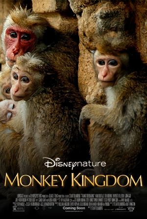 Monkey Kingdom's poster