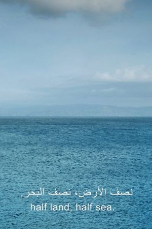one emerging from a point of view's poster