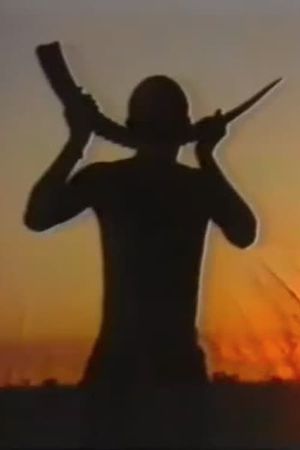 The Celebration's poster image