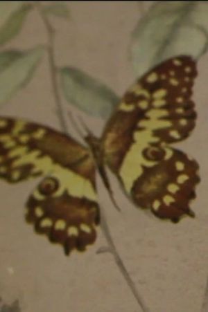 Monsieur M, 1968's poster image