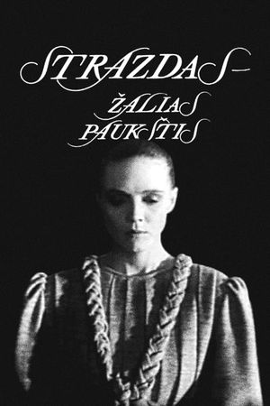 Strazdas - zalias paukstis's poster image