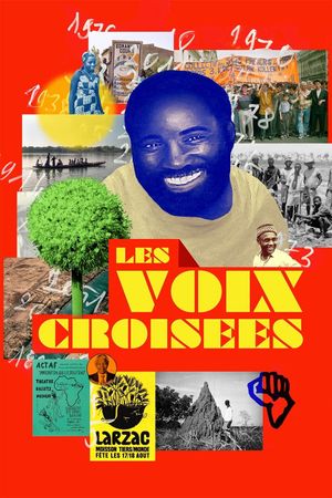 Crossing Voices's poster