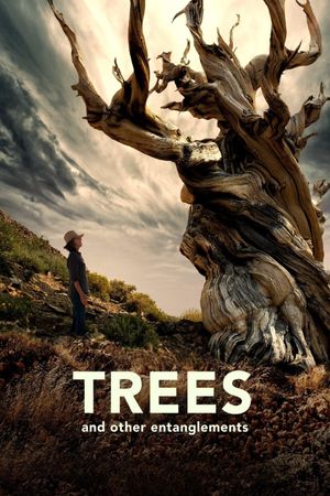 Trees, and Other Entanglements's poster