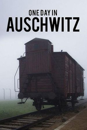 One Day in Auschwitz's poster
