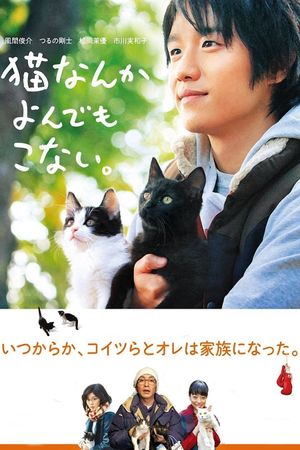 Cats Don't Come When You Call's poster