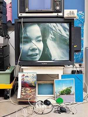 Björk: Vessel 1994's poster