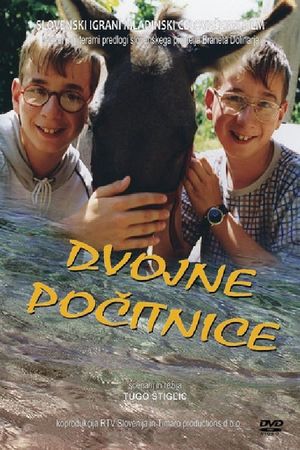 Double Holidays's poster