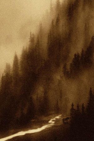 Sleep Has Her House's poster