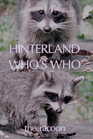 Hinterland Who's Who: The Raccoon's poster