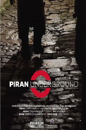 Piran Underground's poster image