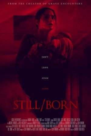 Still/Born's poster