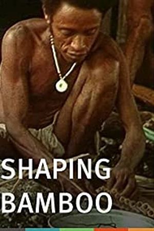Shaping Bamboo's poster