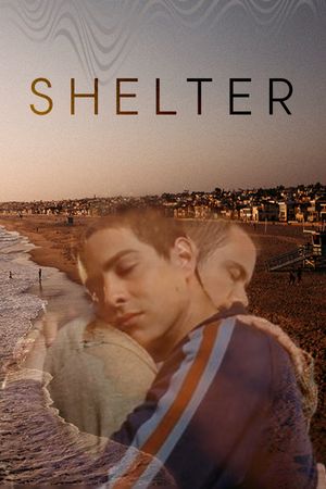 Shelter's poster