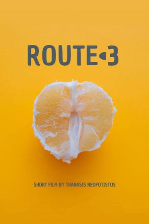 Route-3's poster