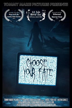 Choose Your Fate's poster
