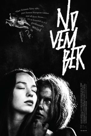 November's poster