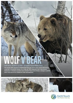 Wolf vs Bear's poster