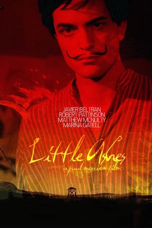 Little Ashes's poster