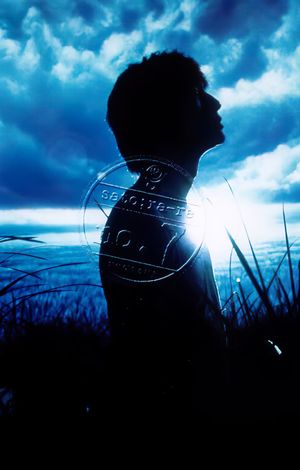 Satorare's poster