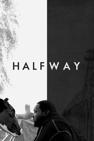 Halfway's poster
