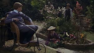The Secret Garden's poster