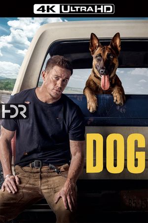 Dog's poster