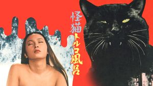 A Haunted Turkish Bathhouse's poster