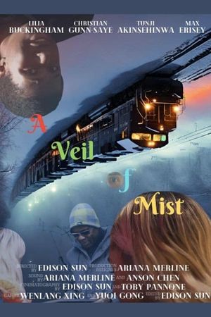 A Veil of Mist's poster