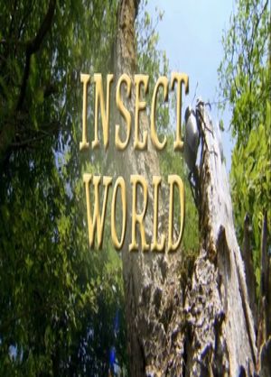 Insect World's poster