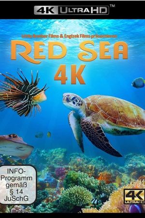 Red Sea 4K's poster