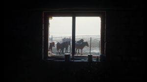 To Kill a Mongolian Horse's poster