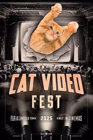 CatVideoFest 2025's poster