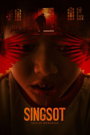Singsot's poster image