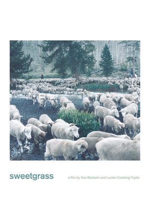 Sweetgrass's poster