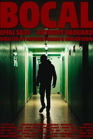 BOCAL's poster