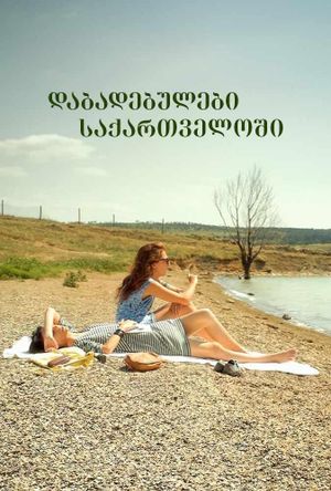 Dabadebulebi Saqartveloshi's poster