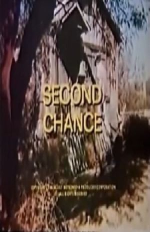 Second Chance's poster