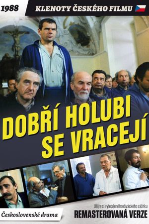 Dobrí holubi se vracejí's poster