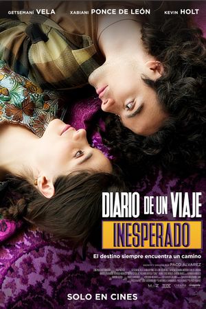 Diario de un viaje inesperado's poster