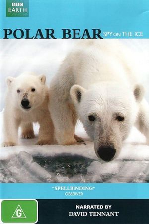Polar Bears: Spy on the Ice's poster