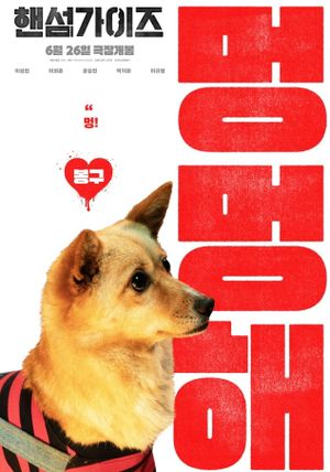 Handsome Guys's poster