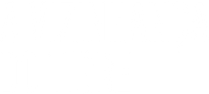 The Hidden Tiger's poster