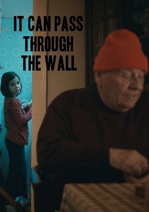It Can Pass Through the Wall's poster image
