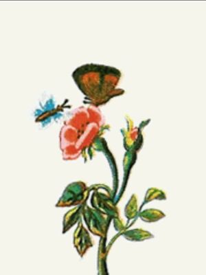 Les Papillons's poster