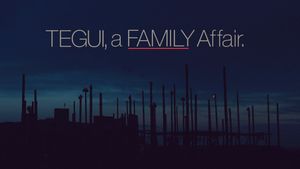 Tegui, a Family Affair's poster