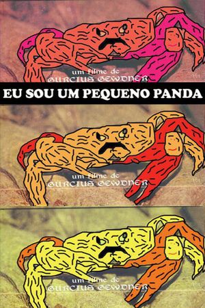Eu Sou um Pequeno Panda's poster