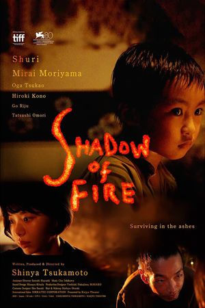 Shadow of Fire's poster